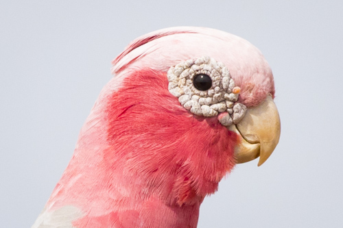 karijini ningaloo photo tour example 14